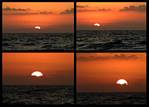 (09) dawn montage.jpg    (1000x720)    246 KB                              click to see enlarged picture